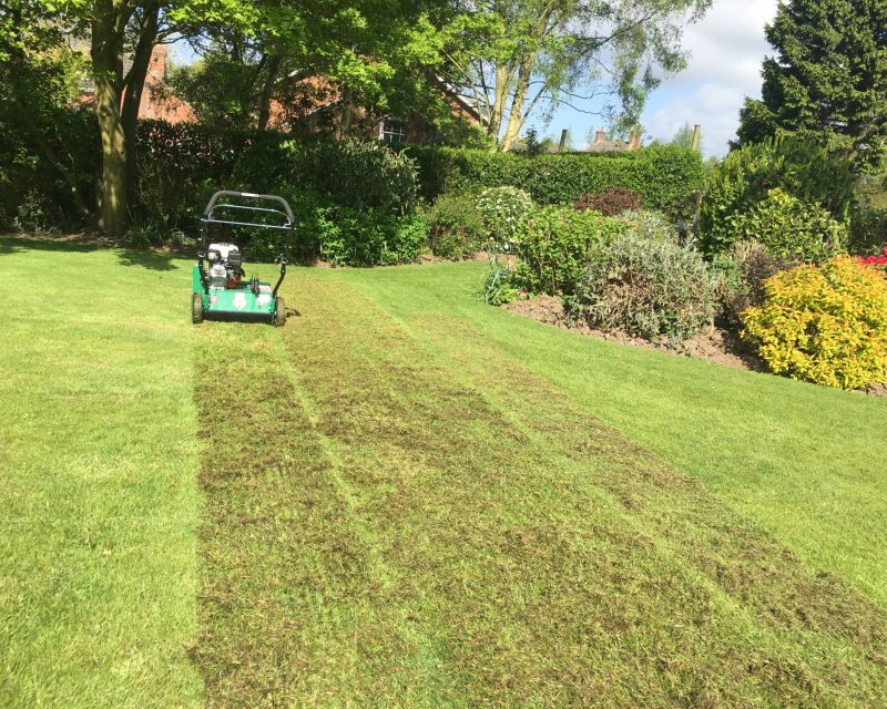 LAWN SCARIFIER 50CM WIDE FOR HIRE