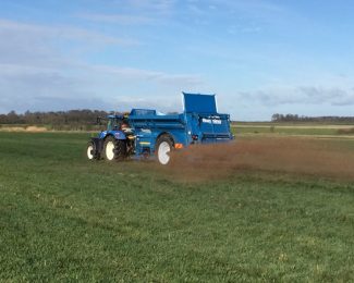 BUNNING LOWLANDER 175 HEAVY DUTY MK2 MUCK SPREADER