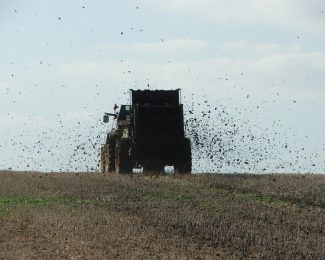 BUNNING LOWLANDER 150 HEAVY DUTY MK2 MUCK SPREADER